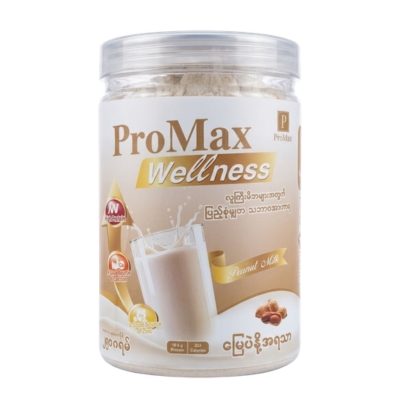 Promax Wellness Peanut Milk 250g