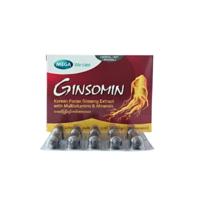 [11070040] Ginsomin