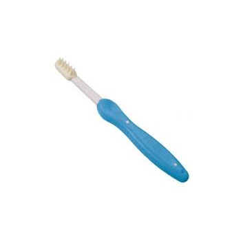 [OTF00014] Farlin Toothbursh (M) BF118-3